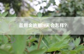 备用金逾期20天会怎样？