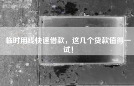 临时用钱快速借款，这几个贷款值得一试！