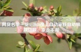 网贷名单一览，2022晚上自动审核自动放款贷款，拿走不谢