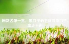 网贷名单一览，黑口子必下款网贷口子，拿走不谢