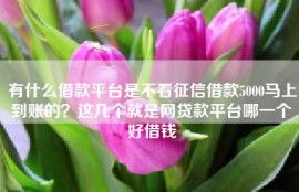 有什么借款平台是不看征信借款5000马上到账的？这几个就是网贷款平台哪一个好借钱