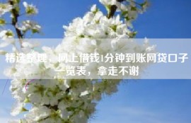 精选整理，网上借钱1分钟到账网贷口子一览表，拿走不谢