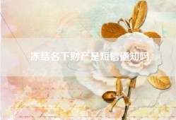 冻结名下财产是短信通知吗