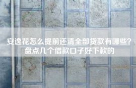 安逸花怎么提前还清全部贷款有哪些？盘点几个借款口子好下款的