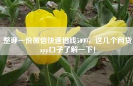 整理一份微信快速借钱5000，这几个网贷app口子了解一下！