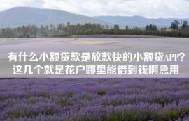 有什么小额贷款是放款快的小额贷APP？这几个就是花户哪里能借到钱啊急用
