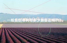 一般贷款年利率多少算是正规的？