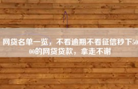 网贷名单一览，不看逾期不看征信秒下5000的网贷贷款，拿走不谢