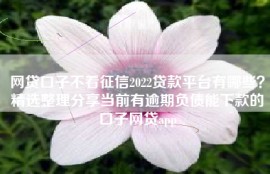网贷口子不看征信2022贷款平台有哪些？精选整理分享当前有逾期负债能下款的口子网贷app