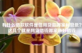 有什么借款软件是信用贷款哪家利息低？这几个就是网贷借钱哪家最好借钱