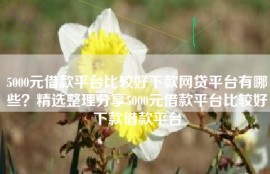 5000元借款平台比较好下款网贷平台有哪些？精选整理分享5000元借款平台比较好下款借款平台
