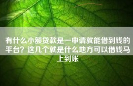 有什么小额贷款是一申请就能借到钱的平台？这几个就是什么地方可以借钱马上到账