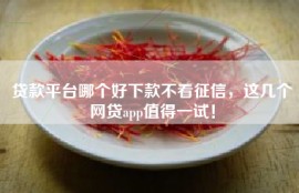 贷款平台哪个好下款不看征信，这几个网贷app值得一试！