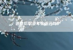 退体后职业年金返还吗？