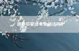 退体后职业年金返还吗？