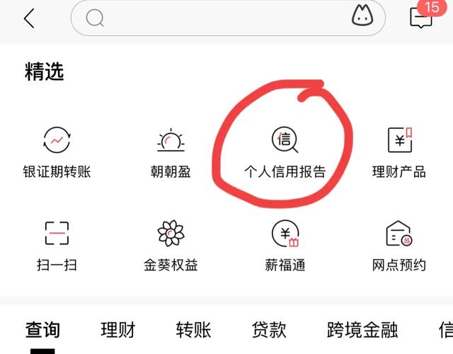 征信怎么查。怀疑儿子网络赌博，怎么查他的征信？