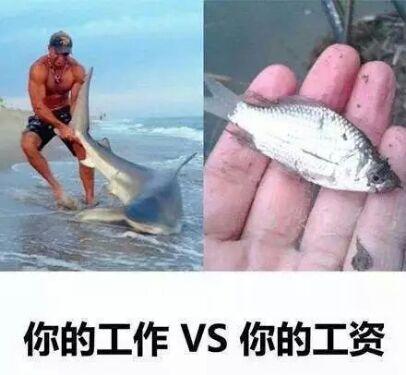 花呗、京东白条、借呗、微粒贷，哪个更划算？