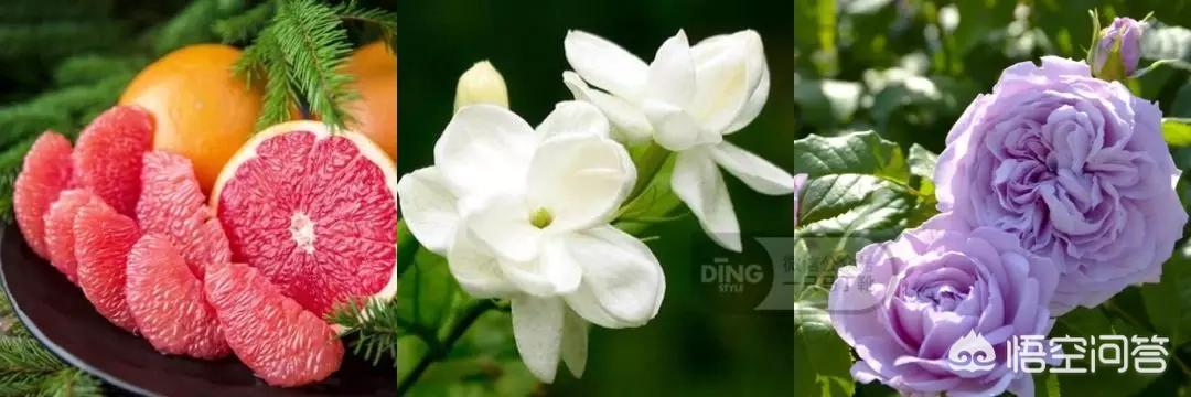 30岁的女人适合喷什么牌子香水，味道好闻，香味持久，求推荐？