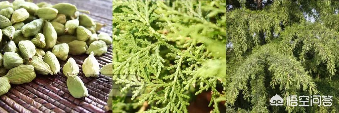 30岁的女人适合喷什么牌子香水，味道好闻，香味持久，求推荐？