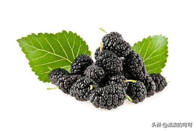 今年种植业方面比较有前景的有哪些？