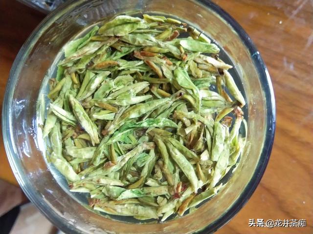 茶叶有不同的品种，茶树都是一样的吗？