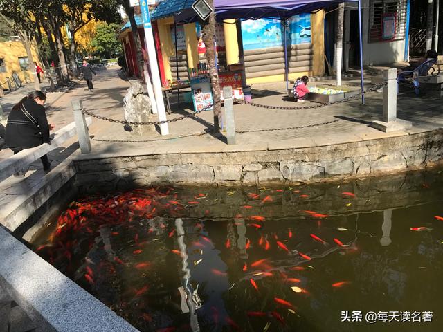 抖音上美女主播PK，那些大哥不停刷嘉年华有什么目的？