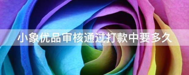 小象优品审核通过打款中要多久