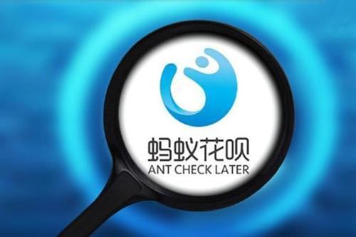 买房时打个人征信，银行因使用花呗过多拒绝贷款，这该怎么办？