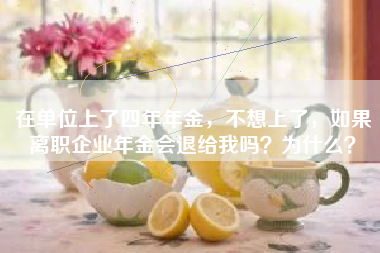 在单位上了四年年金，不想上了，如果离职企业年金会退给我吗？为什么？
