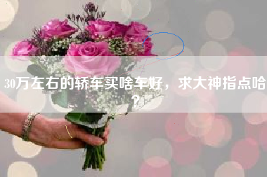 30万左右的轿车买啥车好，求大神指点哈？
