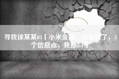 寻找徐某某03丨小米金融，回复我了，3个信息点，我都get了