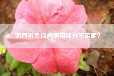 如何避免综合信用评分不足呢？
