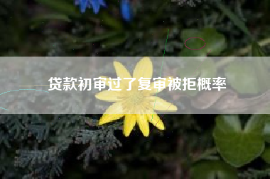 贷款初审过了复审被拒概率