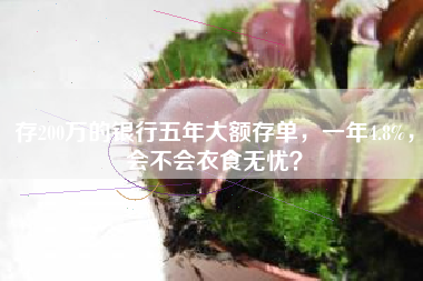 存200万的银行五年大额存单，一年4.8%，会不会衣食无忧？