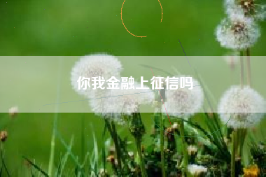 你我金融上征信吗