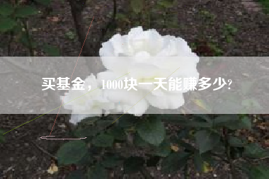 买基金，1000块一天能赚多少?
