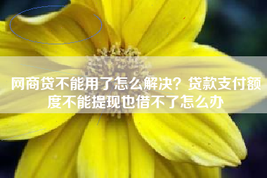网商贷不能用了怎么解决？贷款支付额度不能提现也借不了怎么办