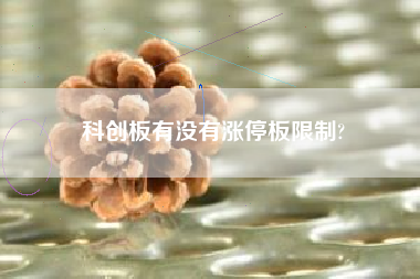 科创板有没有涨停板限制?