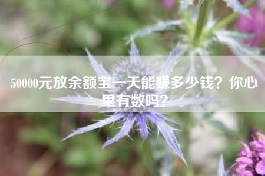 50000元放余额宝一天能赚多少钱？你心里有数吗？