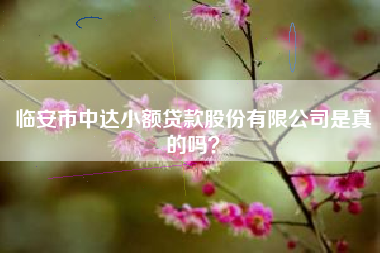 临安市中达小额贷款股份有限公司是真的吗？