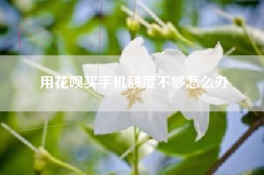 用花呗买手机额度不够怎么办