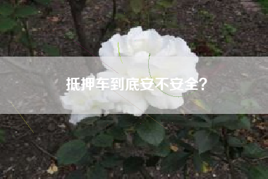 抵押车到底安不安全？