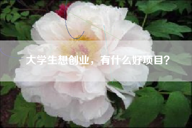 大学生想创业，有什么好项目？