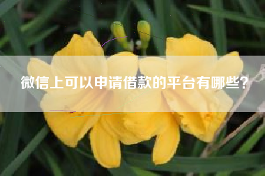 微信上可以申请借款的平台有哪些？