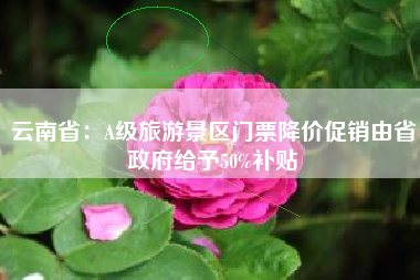 云南省：A级旅游景区门票降价促销由省政府给予50%补贴