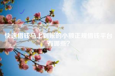 快速借钱马上到账的小额正规借钱平台有哪些？