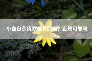 小鱼白条贷款是真的吗？正规可靠吗