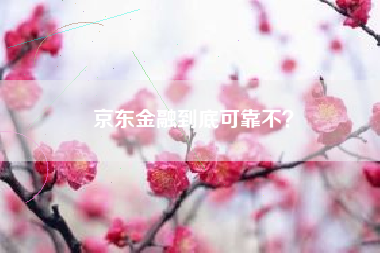 京东金融到底可靠不？
