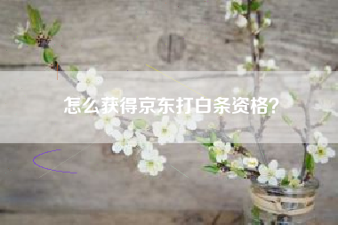 怎么获得京东打白条资格？