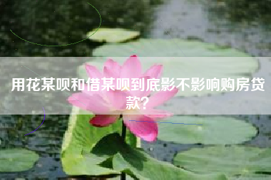 用花某呗和借某呗到底影不影响购房贷款？